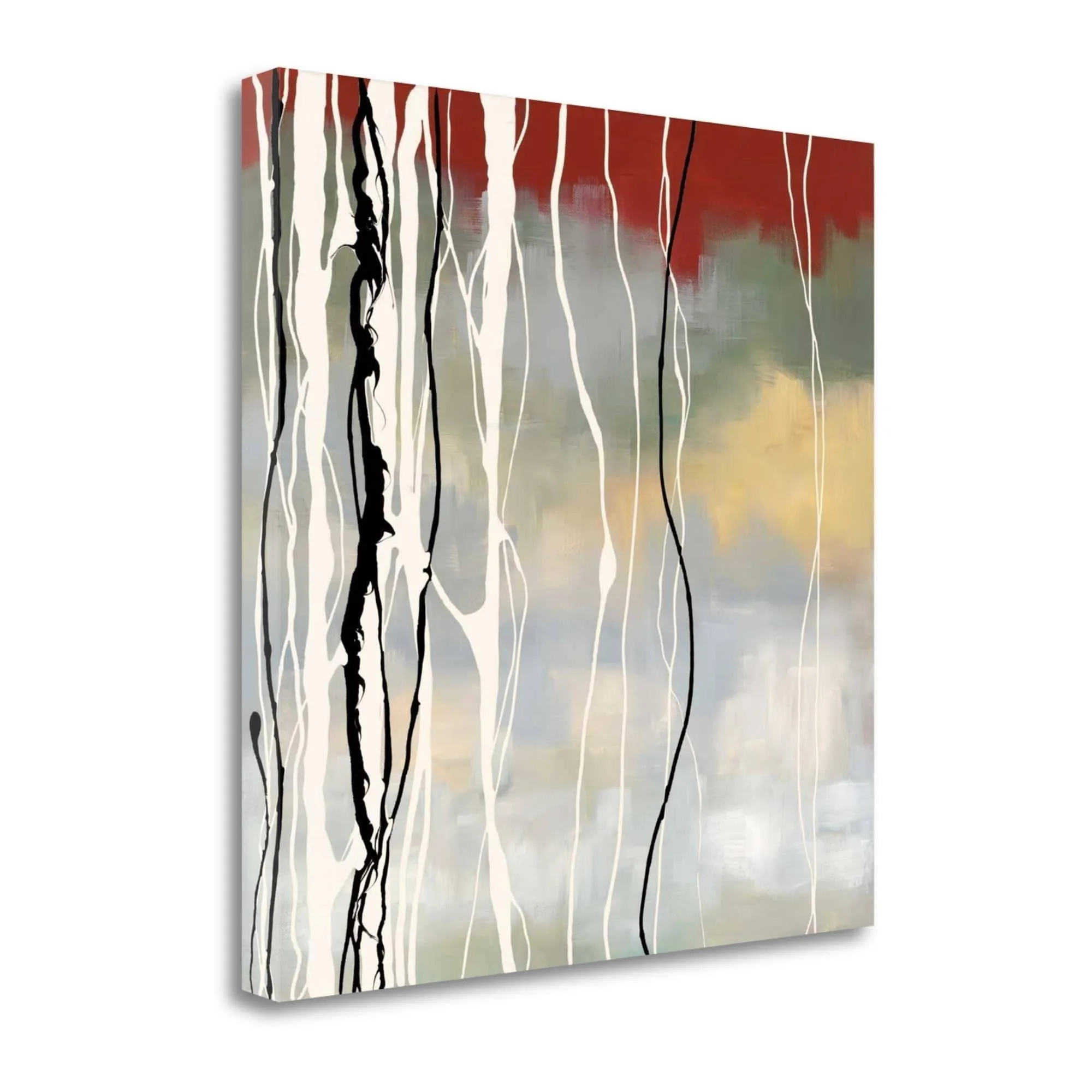 30x22 x 30x22 Silver Birch II by Laurie Maitland Fine Art Giclee Print