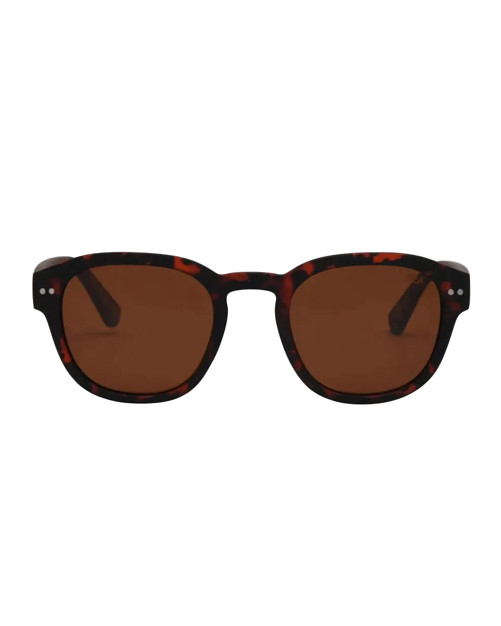 Barton Polarised Sunglasses in Tortoise & Brown