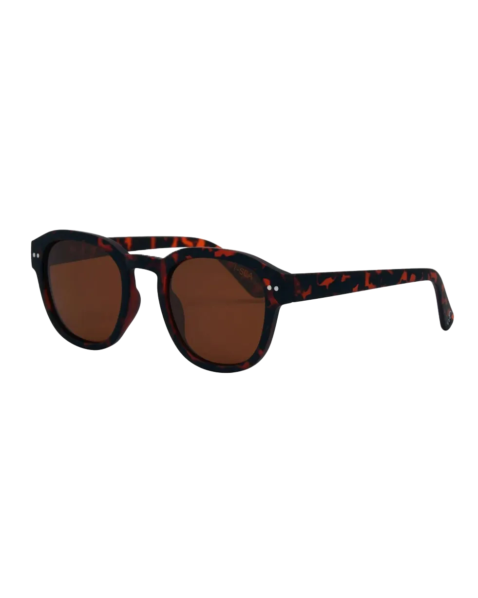 Barton Polarised Sunglasses in Tortoise & Brown