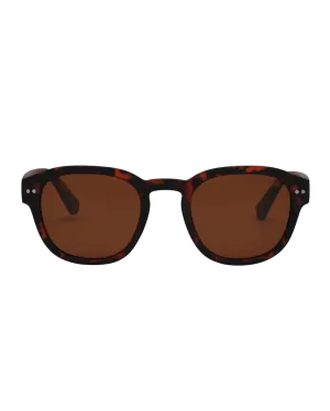 Barton Polarised Sunglasses in Tortoise & Brown