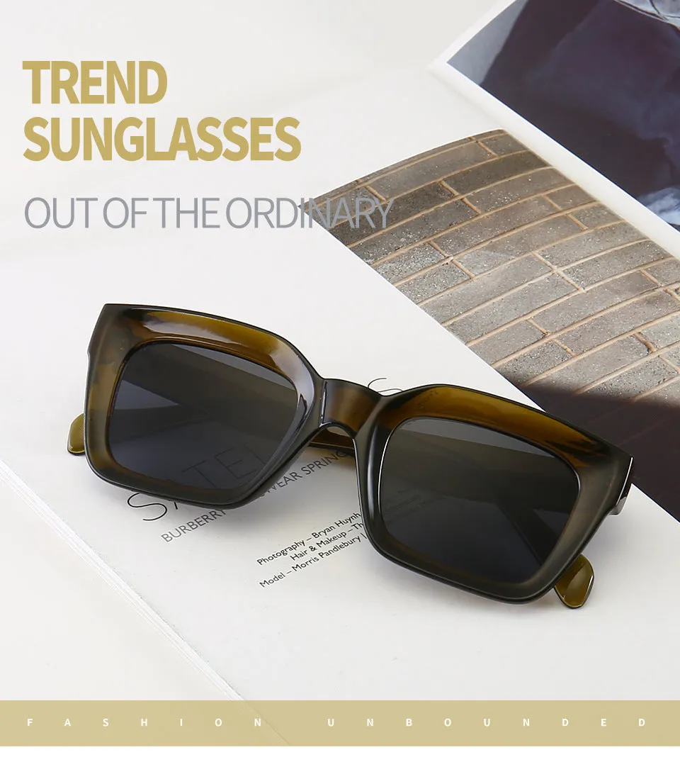 Revamp Your Style with Personality AC Lens & PC Frame Sunglasses, lioness-love